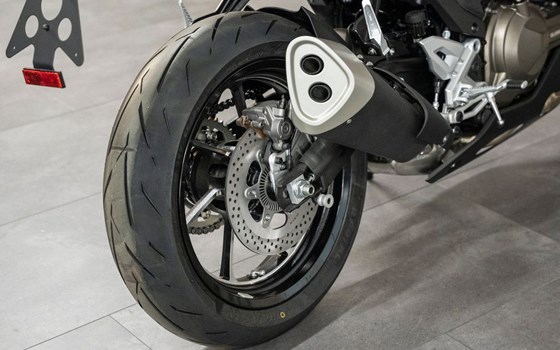 Neufahrzeug QJ Motor SRK 600 RS - Bild 29