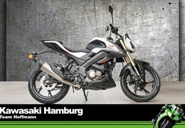 Neumotorrad QJ Motor SRK 125 S