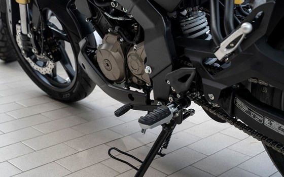 Neufahrzeug QJ Motor SRK 125 S - Bild 10