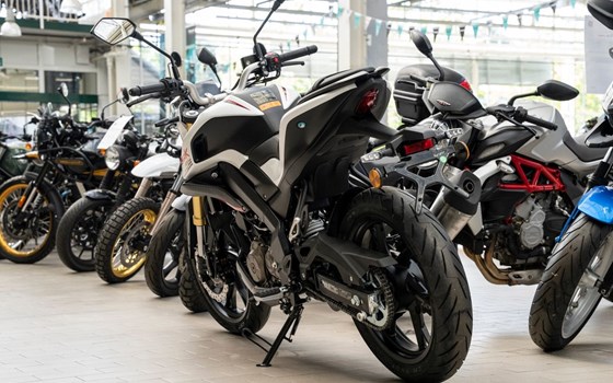 Neufahrzeug QJ Motor SRK 125 S - Bild 6