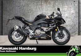 Neumotorrad QJ Motor SRK 600 RS