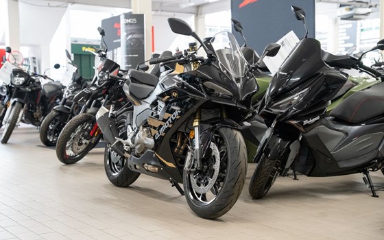 Neufahrzeug QJ Motor SRK 600 RS - Bild 2