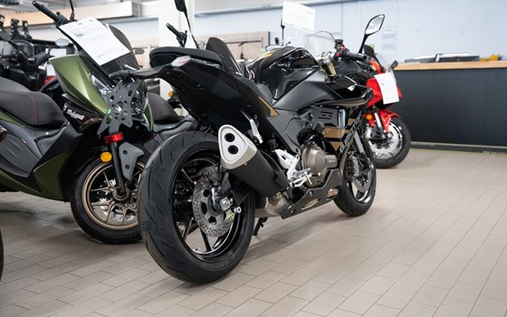 Neufahrzeug QJ Motor SRK 600 RS - Bild 6