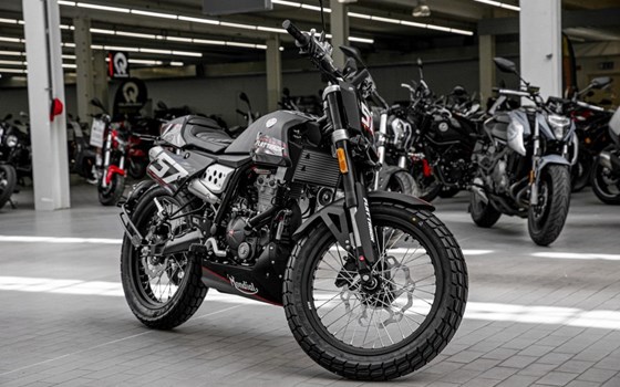 Neufahrzeug FB Mondial Flat Track 125i ABS - Bild 2