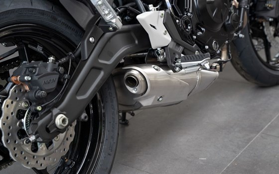 Neufahrzeug Kawasaki Z650 - Bild 8