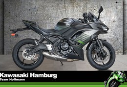 Neumotorrad Kawasaki Ninja 650