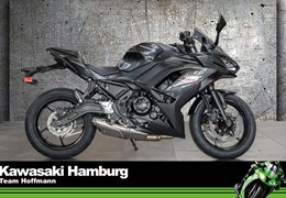 Neumotorrad Kawasaki Ninja 650