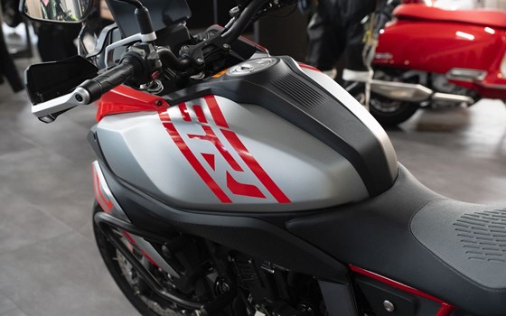 Neufahrzeug QJ Motor SRT 600 SX - Bild 21