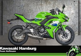 Neumotorrad Kawasaki Ninja 650