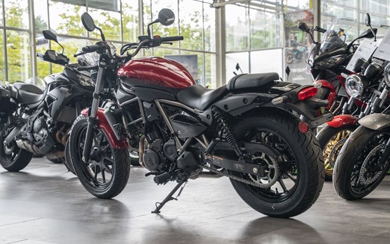 Neufahrzeug Kawasaki Eliminator 500 - Bild 5