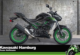 Neumotorrad Kawasaki Z 500 SE