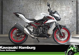 Neumotorrad Kawasaki Z 500 SE