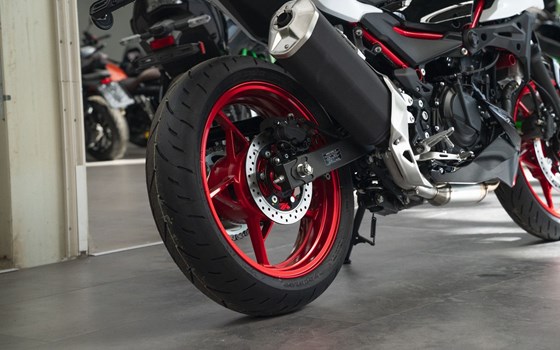 Neufahrzeug Kawasaki Z 500 SE - Bild 10