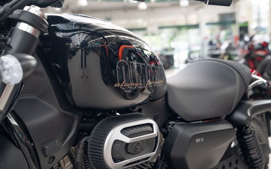 Neufahrzeug QJ Motor SRV12 - Bild 10