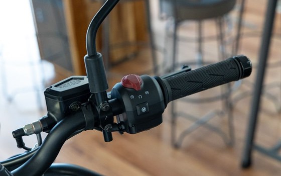 Neufahrzeug Royal Enfield Himalayan 450 - Bild 12