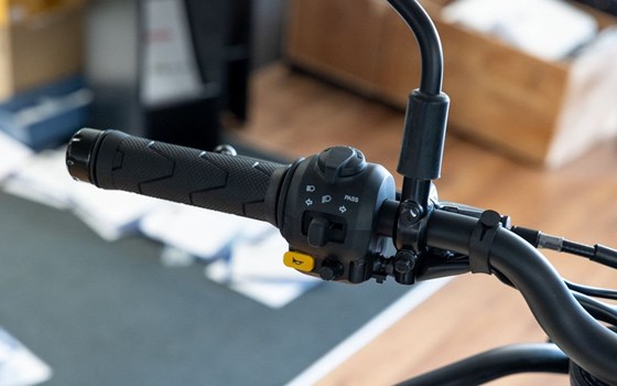 Neufahrzeug Royal Enfield Himalayan 450 - Bild 13