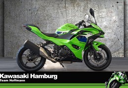 Neumotorrad Kawasaki Ninja 500 SE