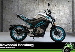 Gebrauchte CFMOTO 300NK