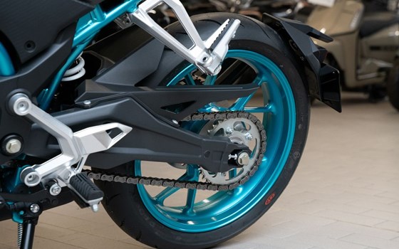 Gebrauchtmotorrad CFMOTO 300NK - Bild 10