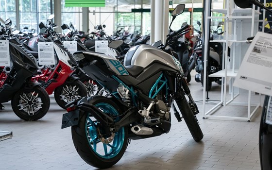 Gebrauchtmotorrad CFMOTO 300NK - Bild 3