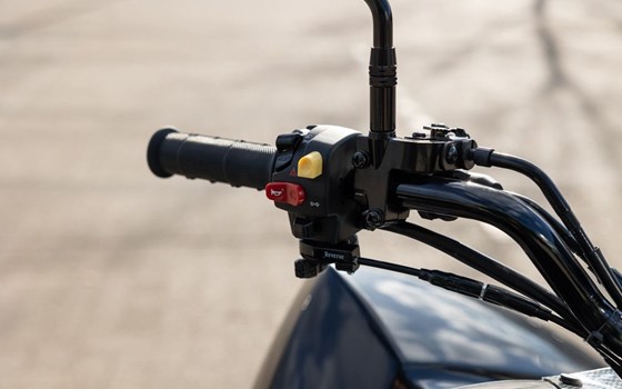 Neufahrzeug Access Xtreme Enduro 480 - Bild 13