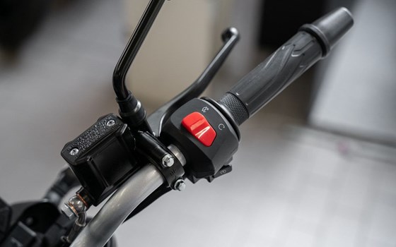 Neufahrzeug Voge R125 ABS - Bild 9