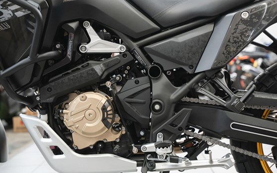 Neufahrzeug Voge DS800X Rally - Bild 13