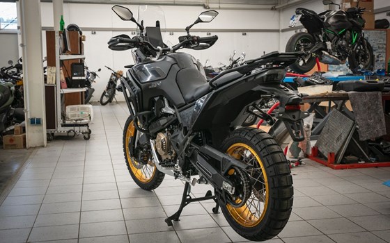 Neufahrzeug Voge DS800X Rally - Bild 3