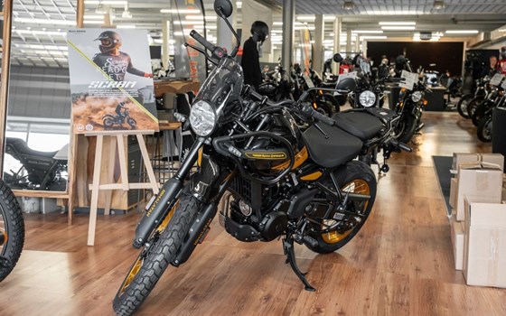 Neufahrzeug Royal Enfield Himalayan 450 - Bild 3