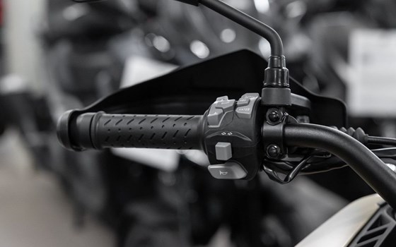 Neufahrzeug Voge DS625X - Bild 8