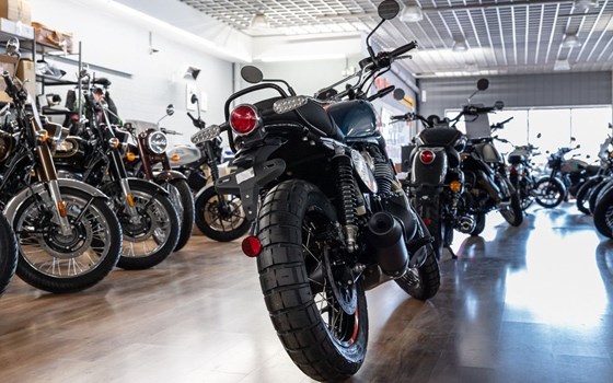 Neufahrzeug Royal Enfield Bear 650 - Bild 6