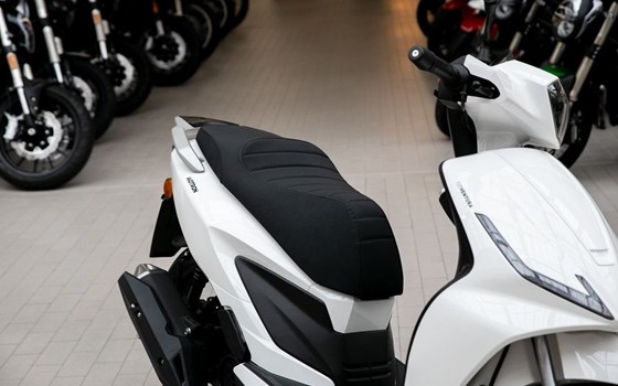 Neufahrzeug Motron Ventura 125 - Bild 11