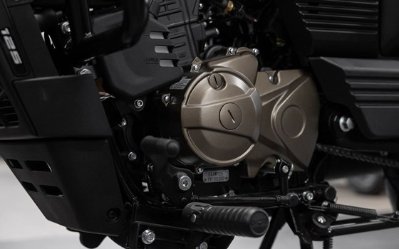 Neufahrzeug United Motors UM Renegade Commando 125 - Bild 19