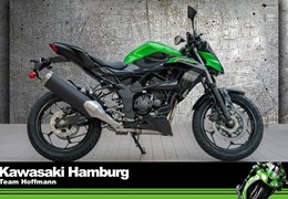 Neumotorrad Kawasaki Z125