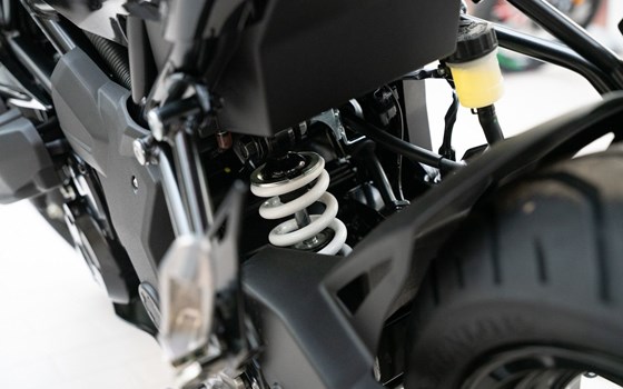 Neufahrzeug Kawasaki Z125 - Bild 16