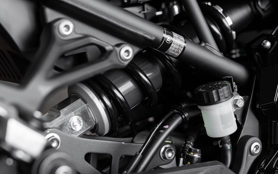 Neufahrzeug Kawasaki Z900 70kW - Bild 16