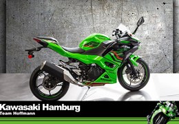 Neumotorrad Kawasaki Ninja 500 SE