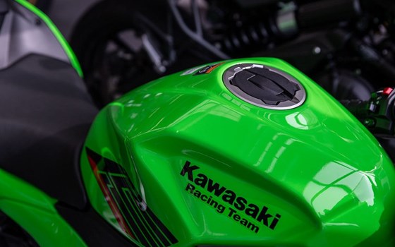 Neufahrzeug Kawasaki Ninja 500 SE - Bild 12