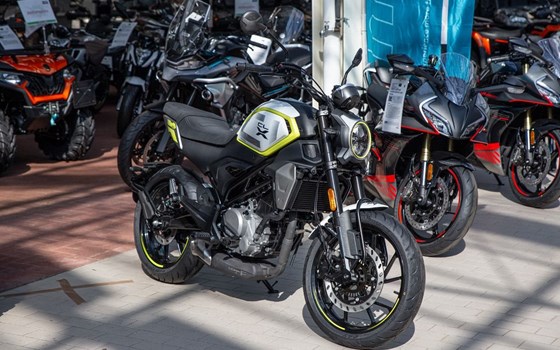 Neufahrzeug CFMOTO 300CL-X - Bild 5