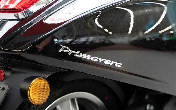 Neufahrzeug Vespa 125 Primavera - Bild 18