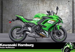 Neumotorrad Kawasaki Ninja 650