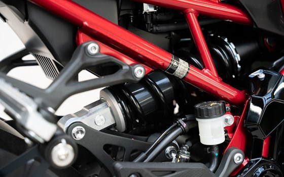 Neufahrzeug Kawasaki Z900 - Bild 19