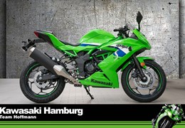 Neumotorrad Kawasaki Ninja 125