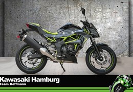 Neumotorrad Kawasaki Z125
