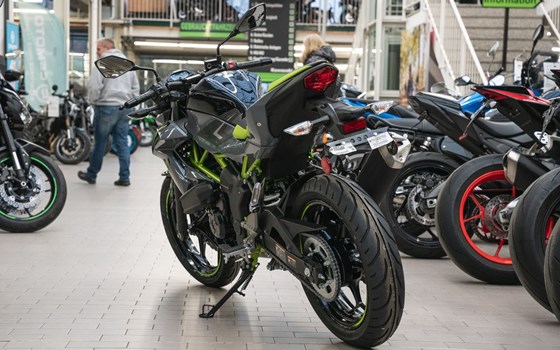 Neufahrzeug Kawasaki Z125 - Bild 4