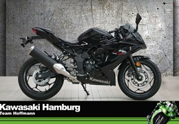 Neumotorrad Kawasaki Ninja 125