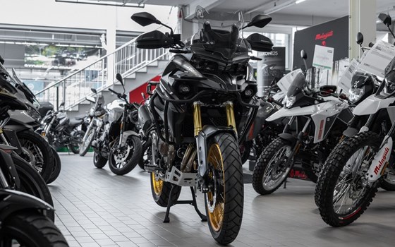 Neufahrzeug Voge DS625X - Bild 2