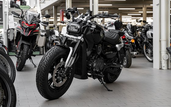 Neufahrzeug Benelli Leoncino Bobber 400 - Bild 3