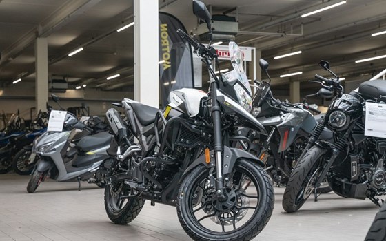 Gebrauchtmotorrad Motron X-Nord 125 - Bild 2