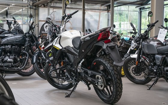 Gebrauchtmotorrad Motron X-Nord 125 - Bild 5